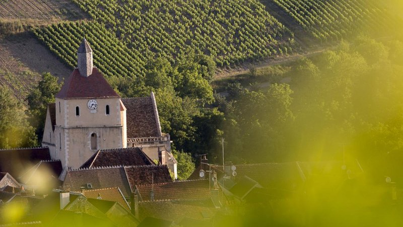 Domaine Patrice