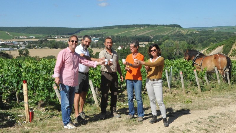 Domaine Testut
