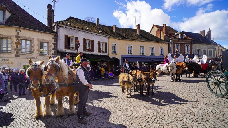 Samedi marché de Toucy